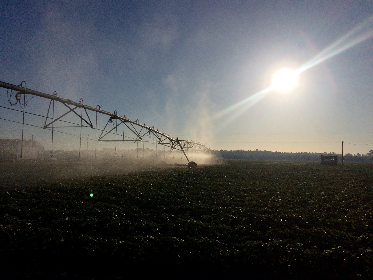 Overhead sprinkler irrigation system