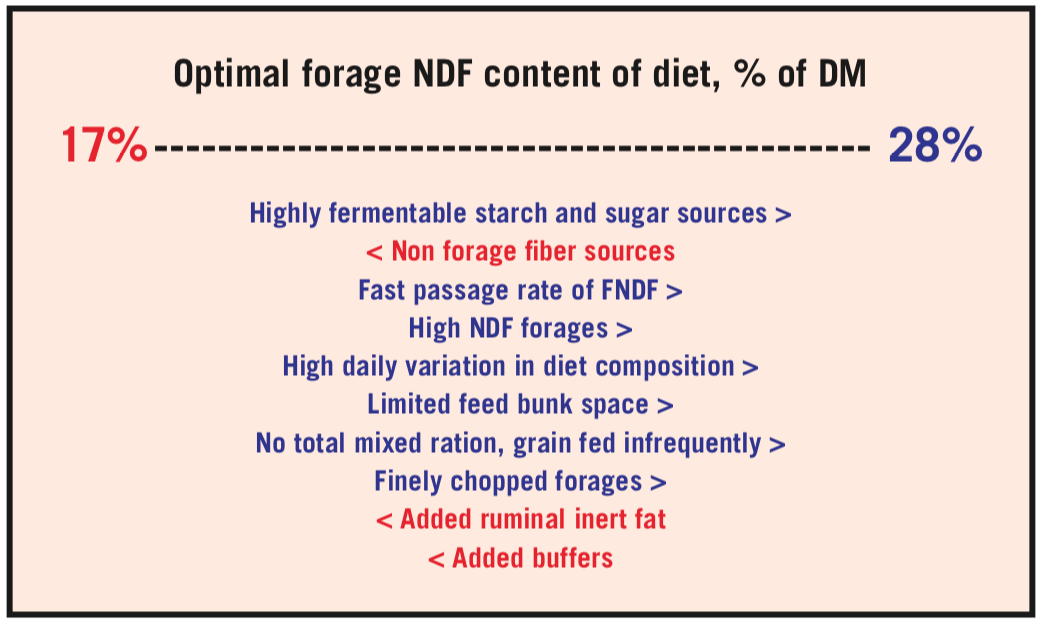 Optimal forage NDF in the diet is 17 to 28% of dry matter. Factors that raise NDF content include highly fermentable starch and sugar sources, fast passage rate of FNDF, high NDF forages, high daily variation in diet composition, limited feed bunk space, no total mixed ration, grain fed infrequently, and finely chopped forages. Factors that lower NDF content are non forage fiber sources, added ruminal inert fat, and added buffers.