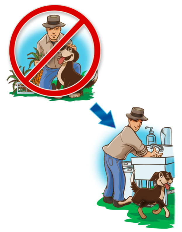 Drawing showing man petting a dog in the field with a big red 'No' sign over it next to a drawing of the man washinf his hands