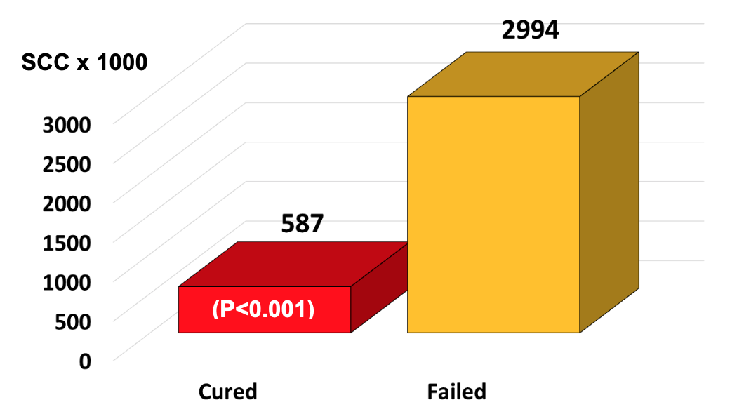 Bar chart shows an SCC counts in infected quarters.