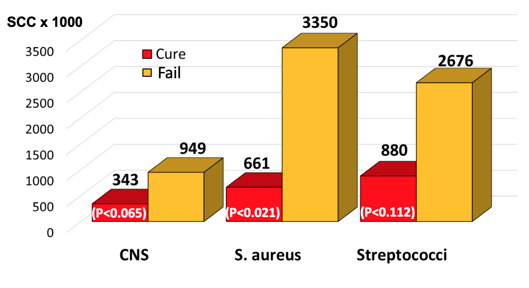 Graph of SCC (in thousands) of infected quarters at the time of treatment that cured or failed after therapy for each of the bacterial species or groups studied.