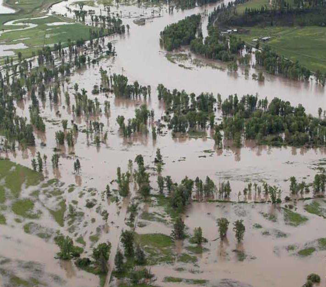 Flooded wetland