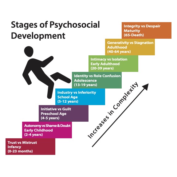 Stages of Psychosocial Development Graphic