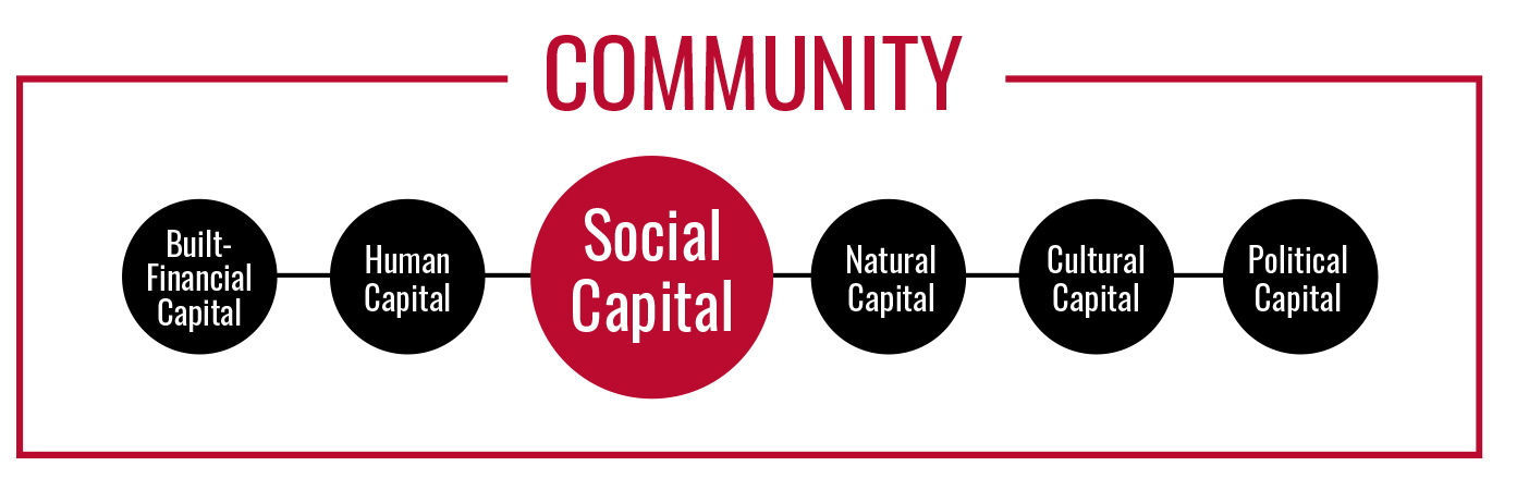 Social Capital Graphic