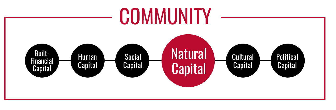 Natural Capital Graphic