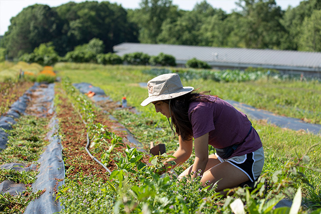 Woman working in a field