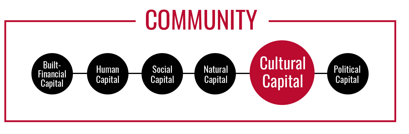 Cultural Capital Graphic