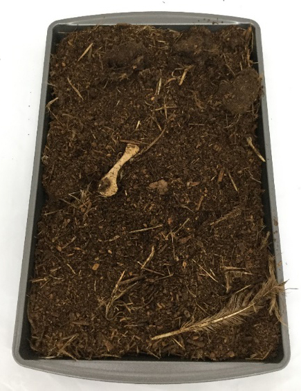 A tray of composted material