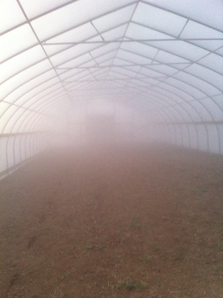 A high tunnel filled with fog