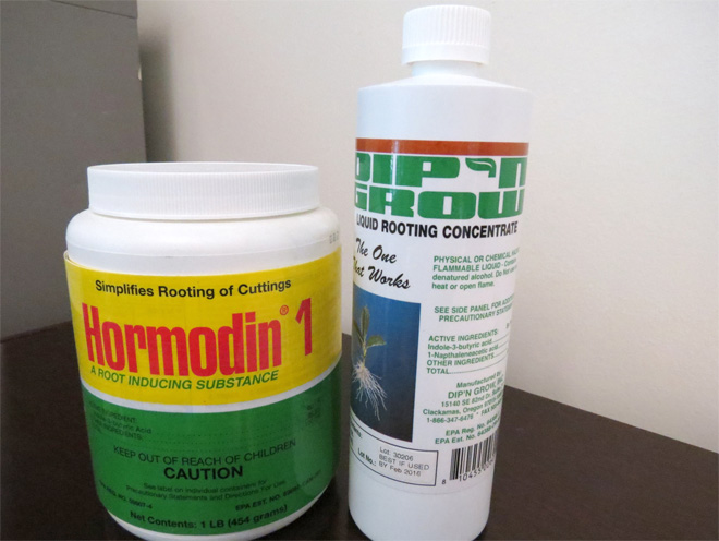 containers of rooting hormones in powder and liquid forms.