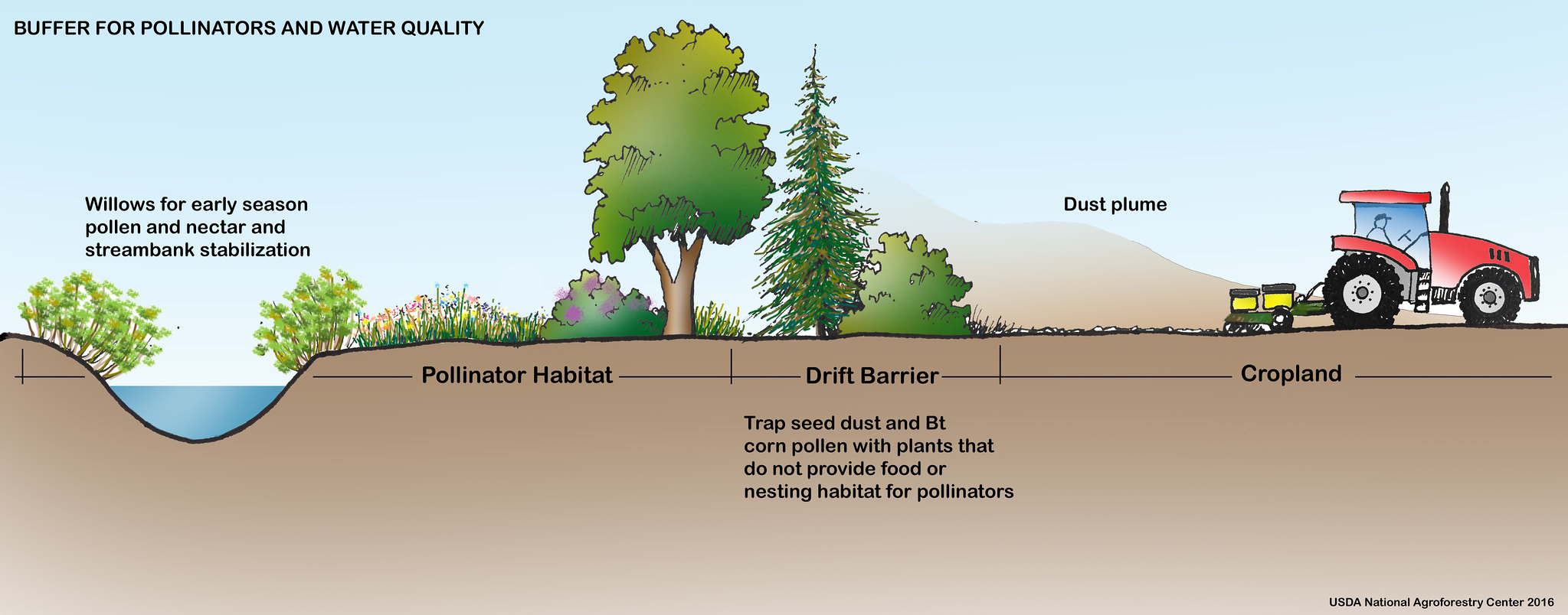 An illustration of a buffer habitat, featuring a pollinator habitat situated with a drift barrier between it and cropland. A dust plume can be seen emerging from the cropland, it is blocked by the drift barrier.