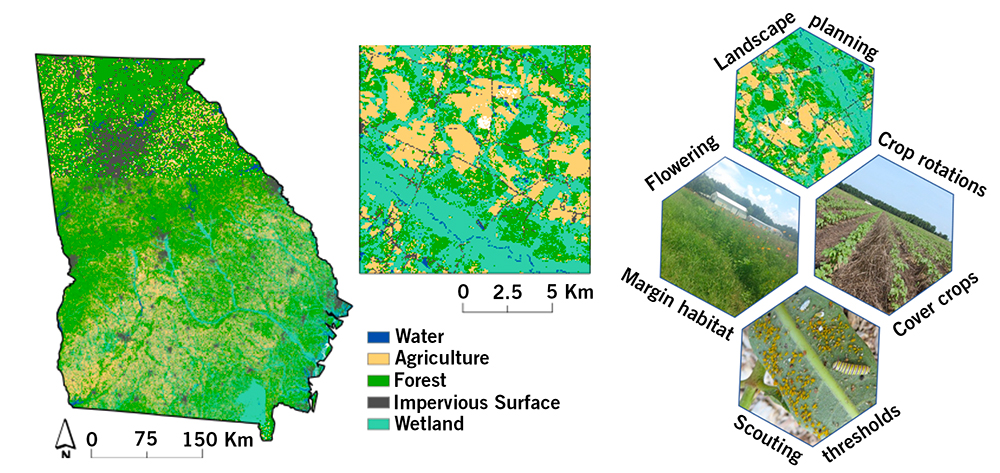 A geographical map of Georgia indicating various regions of water, agriculture, forest, impervious surface, and wetland. A graphic of a multifaceted approach featuring landscape planning, flowering, crop rotations, margin habitats, cover crops, and scouting thresholds.