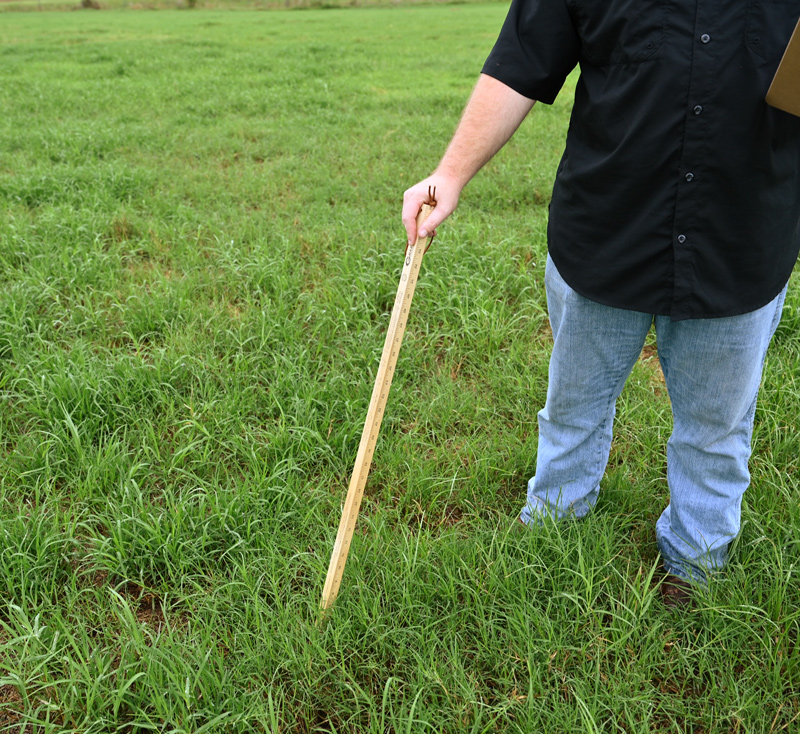 A man holds the grazing stick at an angle rather than perpindicular to the ground. This will cause incorrect measurements.