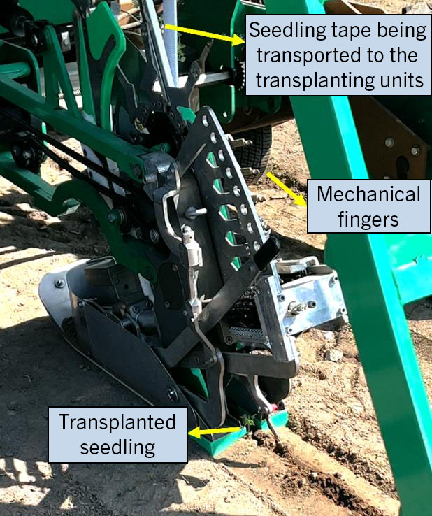 a bright green tape type transplanting machine