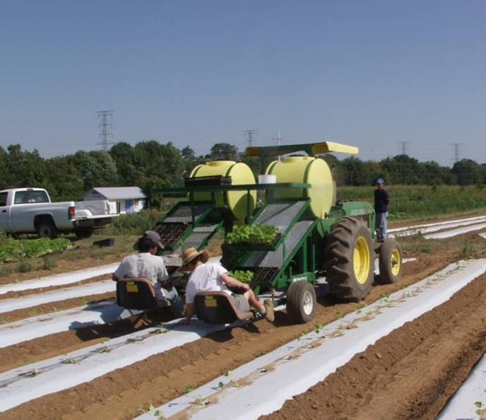 two workers use a water wheel transplanter in a field