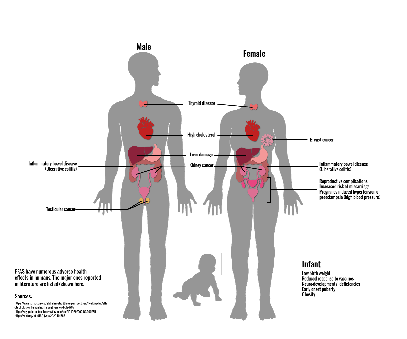 PFAS exposure is linked to various cancers, liver damage, increased cholesterol, thyroid disease, and other complications as described in the text.