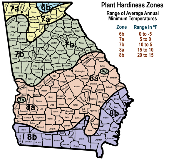 cold hardiness zones map of Georgia with range of annual minimum temperatures. Zone 6b = 0 to -5 F; zone 7a = 5 to 0 F; zone 7b = 10 to 5 F; zone 8a = 15 to 10 F; and zone 8b = 2 to 15 F.