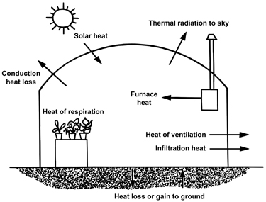 Energy losses and gains in a greenhouse