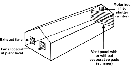 Figure 4. Fans in end wall.