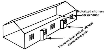 Pressure fans mounted in the sidewalls