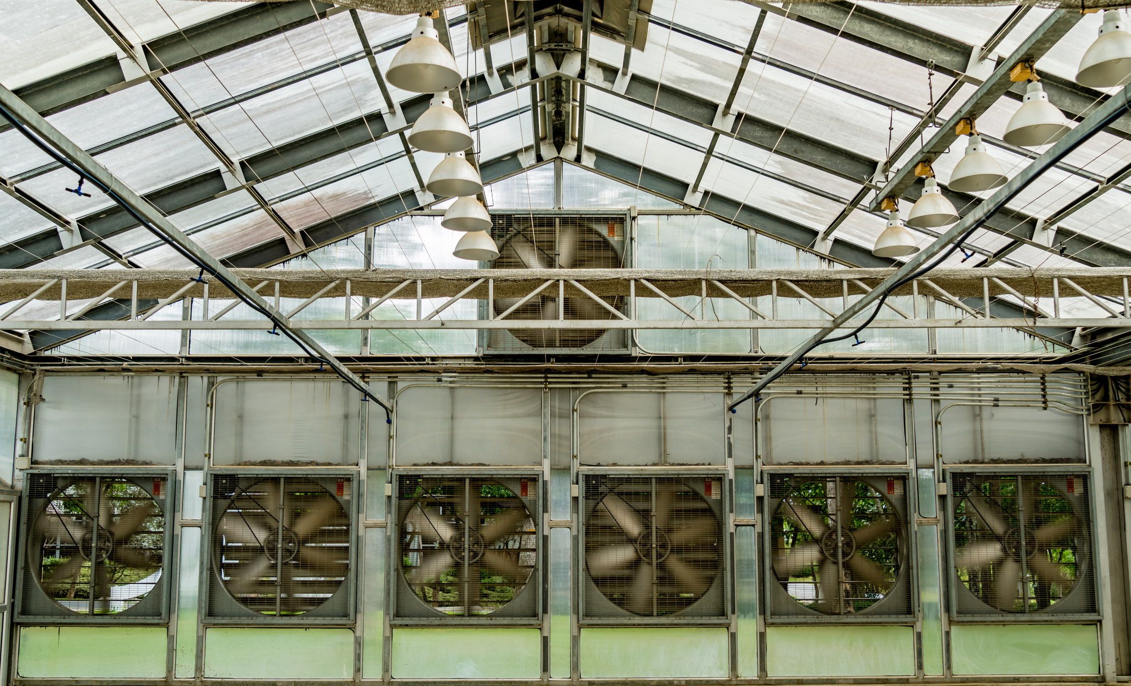 The interior of a greenhouse