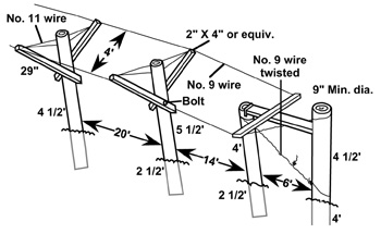 double curtain trellis with posts 20 feet apart and 14 feet from the end posts