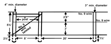 two wire trellis with end posts 8 feet apart and other posts 20 feet apart. Wires are 2 1/2 feet off the ground, 3 feet above that, and another 2 1/2 feet above that.