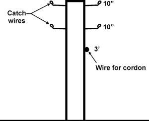 post with 3 foot wire for cordon and 10 inch catch wires above it