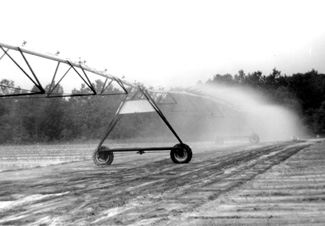 Photo of a center pivot irrigation system with low pressure spray nozzles.