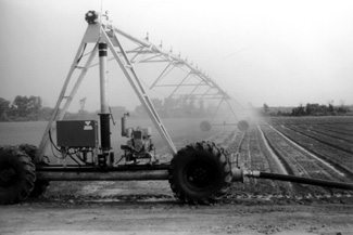 Photo of hose-fed linear move irrigation system.