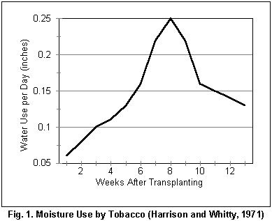 Graph of moisture use by tobacco in inches per day by weeks after transplanting. Water use increases until 8 weeks after planting then decreases until 13 weeks