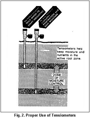 Diagram of proper use of tensiometers. Tensiometers help keep moisture and nutrients in the active root zone.