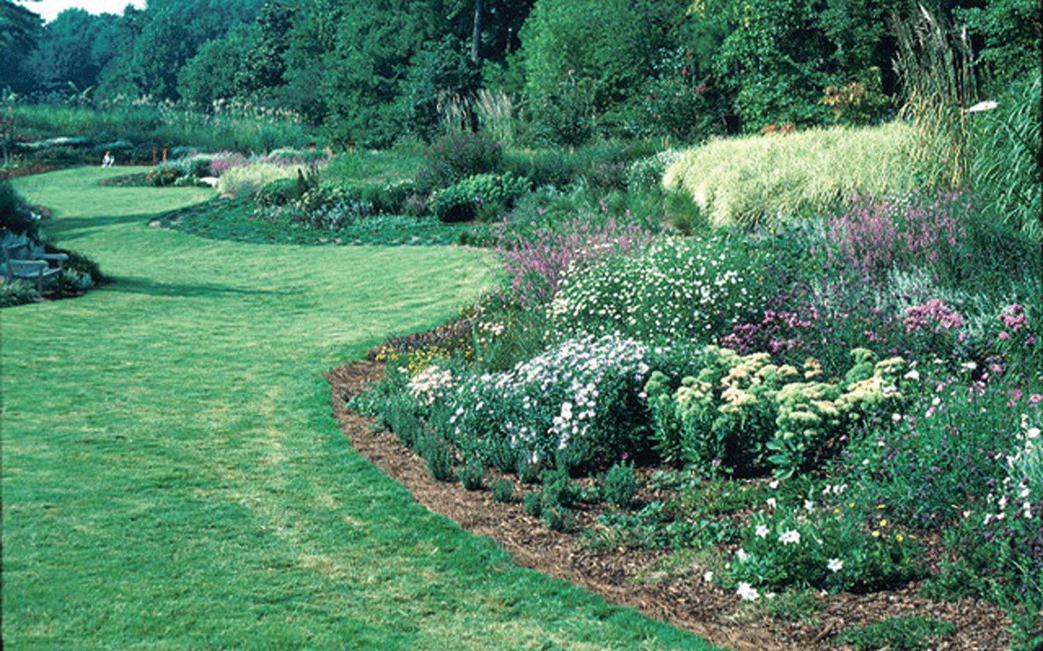 Ornamentals planted in raised beds