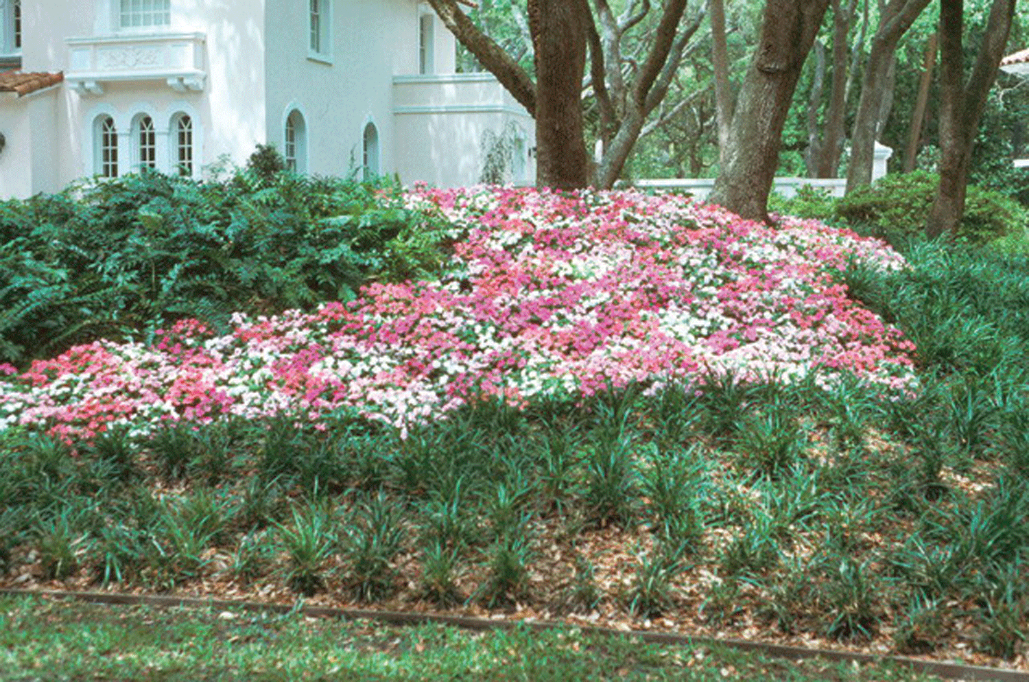 Raised bed planted with pink and white flowers