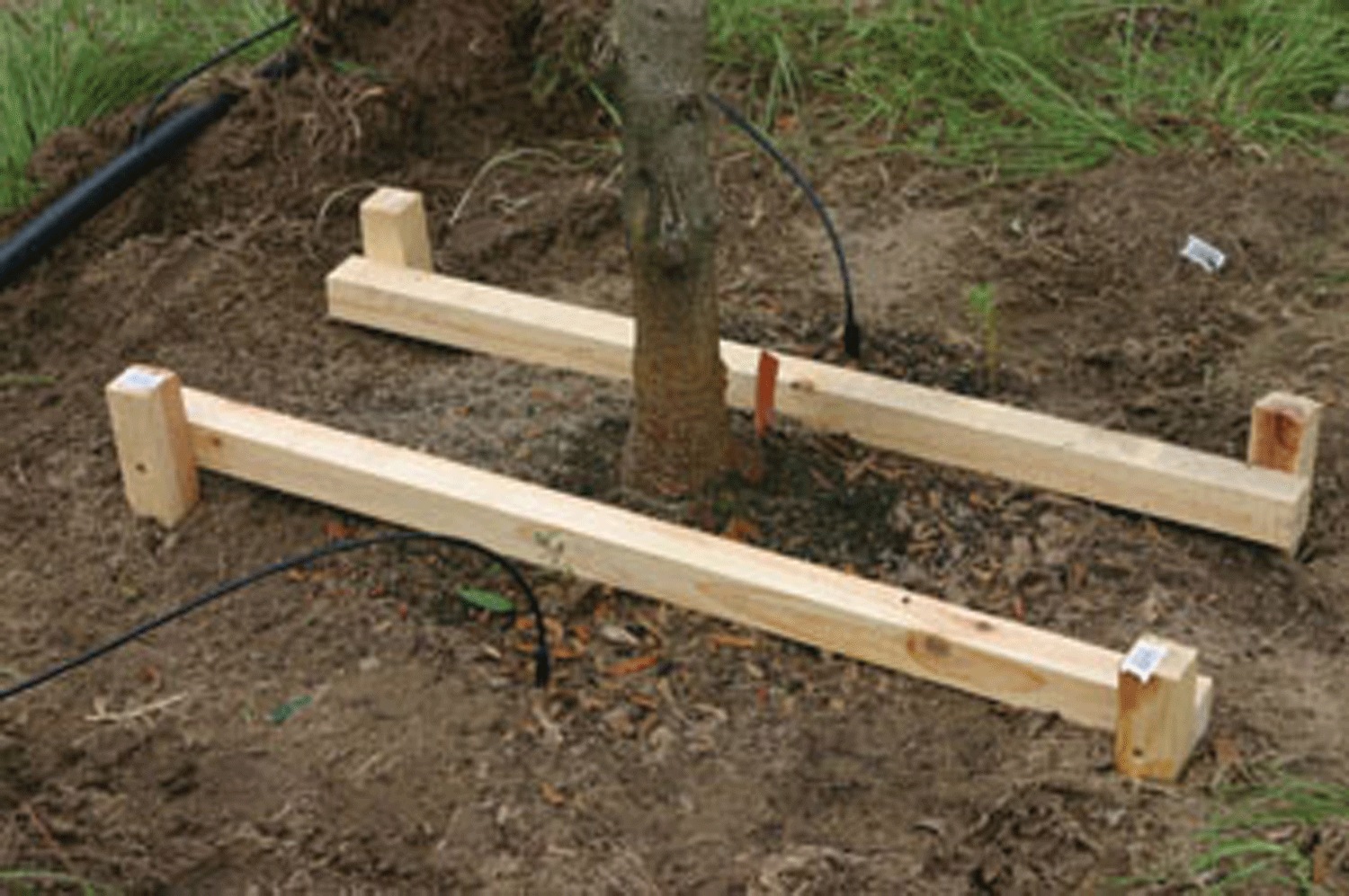 Figure 9. A root ball staking system is an alternative to guy wires.