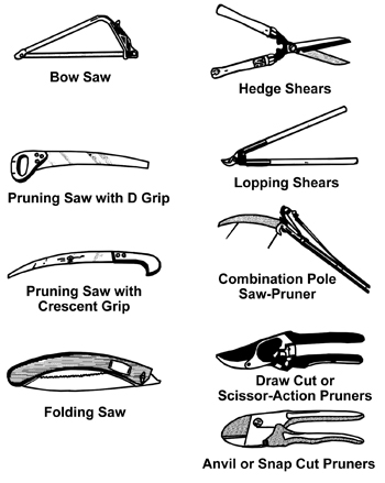 Illustrations of types of saws and shears: bow saw, hedge shears, lopping shears, anvil/snap cut pruners, and draw cut/scissor-action pruners