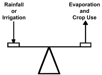 Scale with 