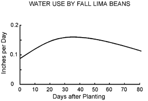 Water use by fall lima beans in inches per day by days after planting. Water use increases until 30 days then decreases slowly