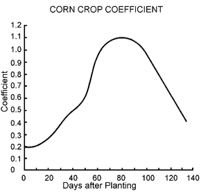 Corn crop coefficient by days after planting. Crop coefficient trends upwards until about 80 days after planting, when it peaks then decreases quickly.