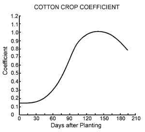 Cotton crop coefficient by days after planting. Coefficient increases exponentially until about 130 days after planting then decreases quickly