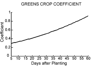 Greens crop coefficient by days after planting. Coefficient increases relatively consistently.