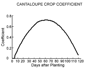 Cantaloupe crop coefficient by days after planting. Coefficient follows a bell shape with a peak around 60 days after planting