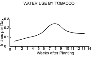 Water use by tobacco in inches per day by weeks after planting. Water use increases slowly until hitting a peak around 8 weeks then decreases to a plateau around 0.15 inches per day