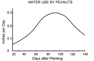 Water use by peanuts in inches per day by days after planting. Water use increases until 90 days after planting when it peaks then decreases