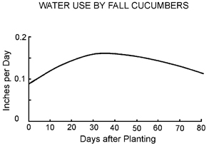 Water use by fall cucumbers in inches per day by days after planting. Water use increases until 30 days then slowly decreases