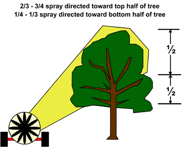 2/3 to 3/4 spray directed toward top half of tree, 1/4 to 1/3 spray directed toward bottom half of tree