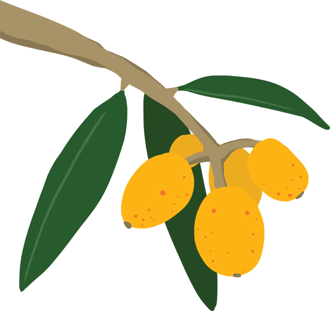 loquats are oval fruits that can be yellow in color