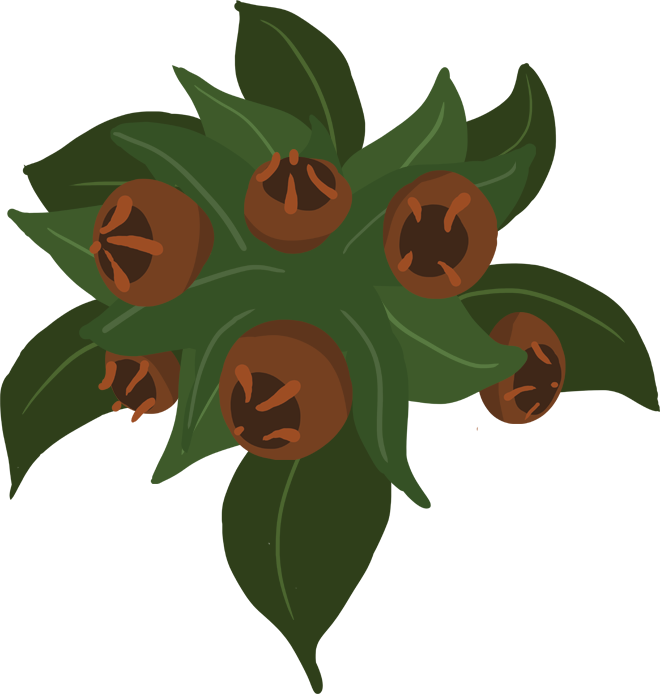 medlar are small, hard, brown-colored fruits