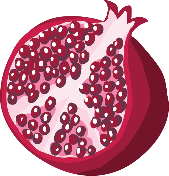 Pomegranate cross section