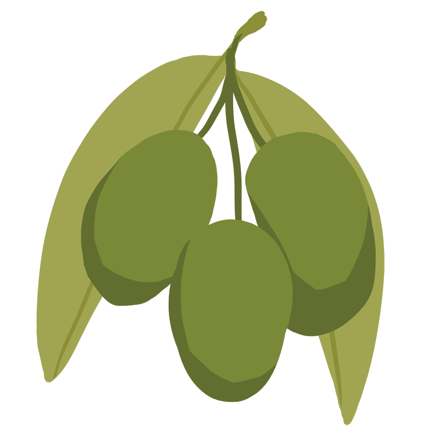 Pawpaw fruits